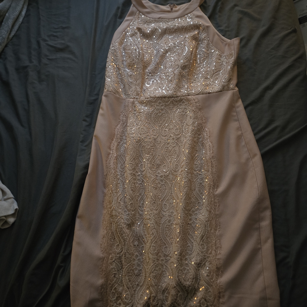 Roz & Ali Sparkling Lace Midi Dress in Soft Pink